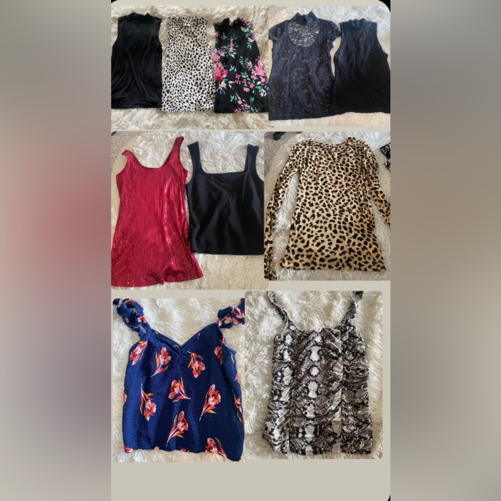 Womans EXPRESS clothing bundle (10items)